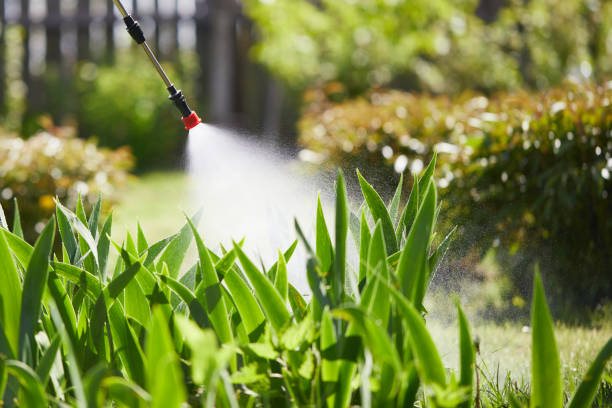 24/7 Emergency Mosquito Control experts in Newark, CA